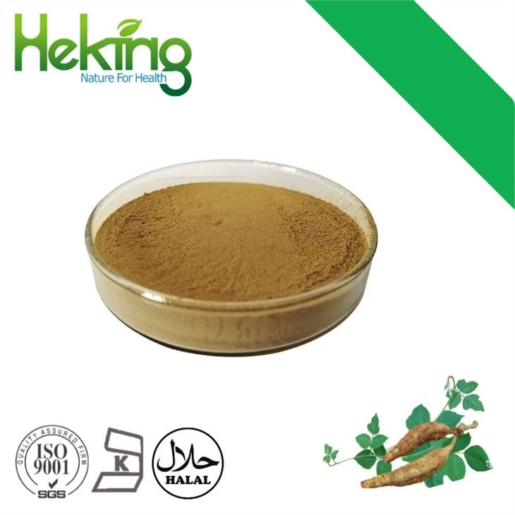 Puerariae Root Extract